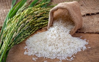 Giá lúa gạo hôm nay ngày 12/11: Nguồn cung ít đẩy giá gạo tiếp tục ở mức cao